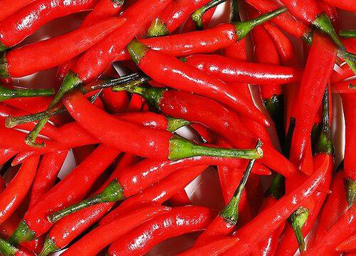 种植尖椒的最佳月份到底是什么?