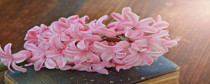 怎么自己制作玄米茶?用这个简单容易的办法帮你做出好喝的玄米茶!