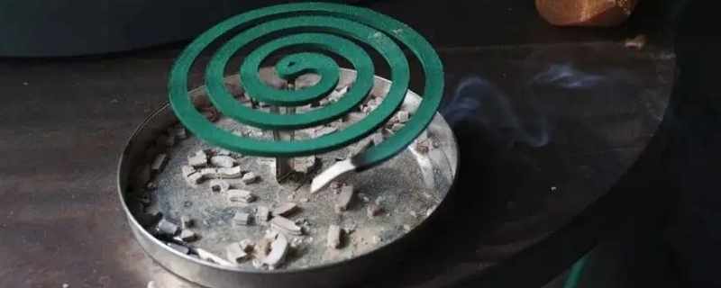 养花有小飞虫怎么处理