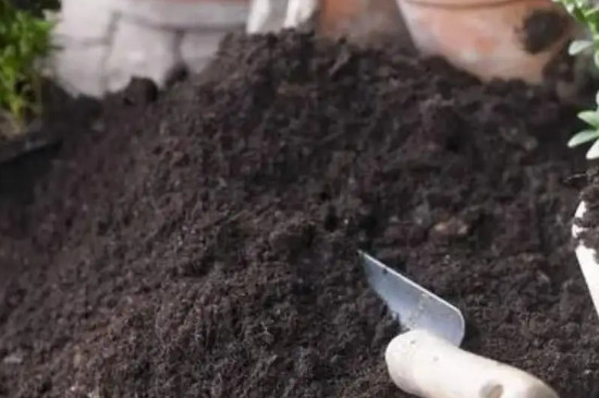 煤渣种花需要怎样处理