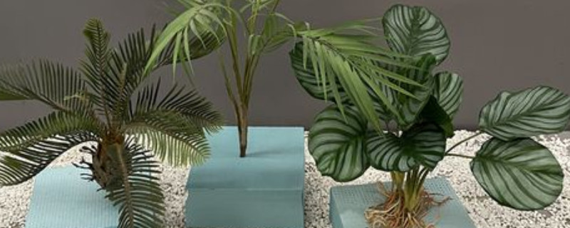 鲜花是插在花泥里还是拿出来