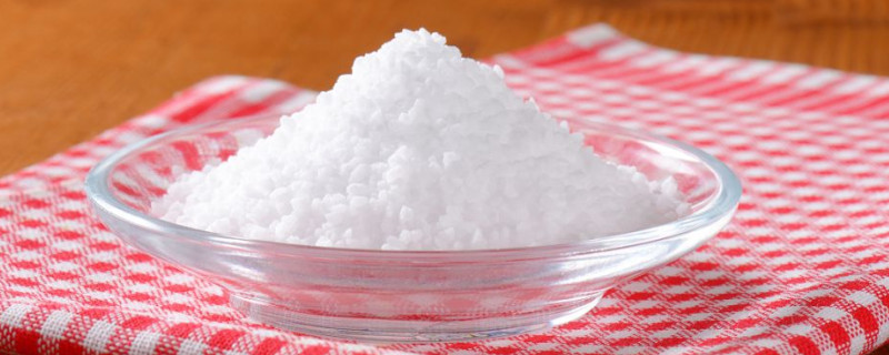 植物叶子上长白色粉末怎么办