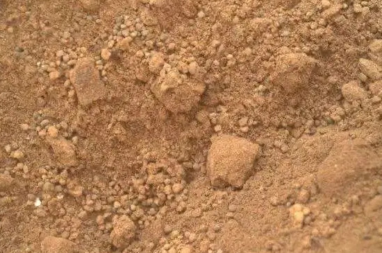 沙质土的特点