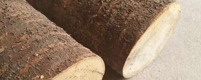 刚砍的桃木怎样才能不开裂