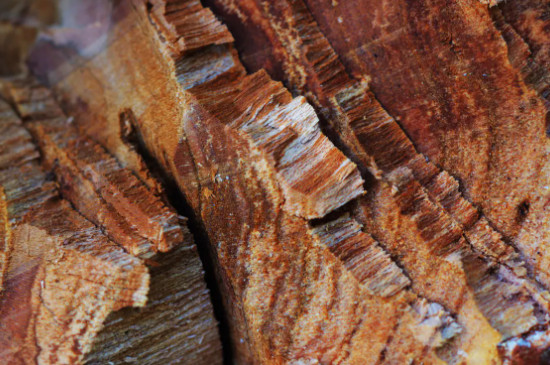 刚砍的桃木怎样才能不开裂