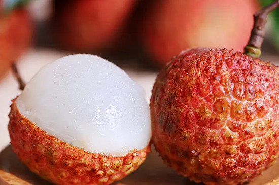 妃子笑荔枝花芽分化期