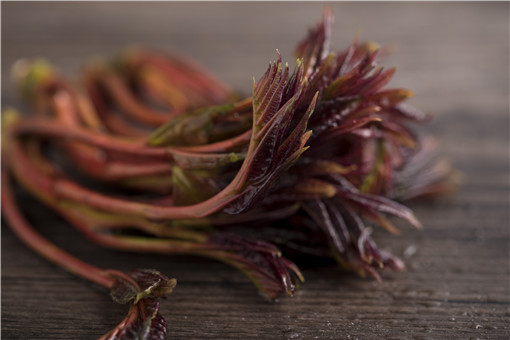 香椿的营养价值-摄图网