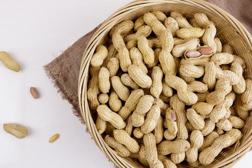 花生——摄图