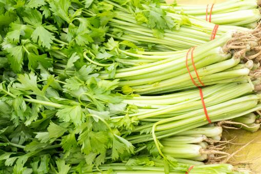 芹菜——摄图