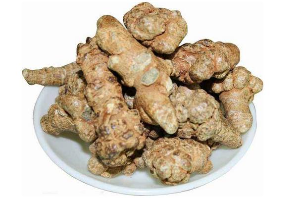 藤三七的功效与作用及禁忌- 致富热