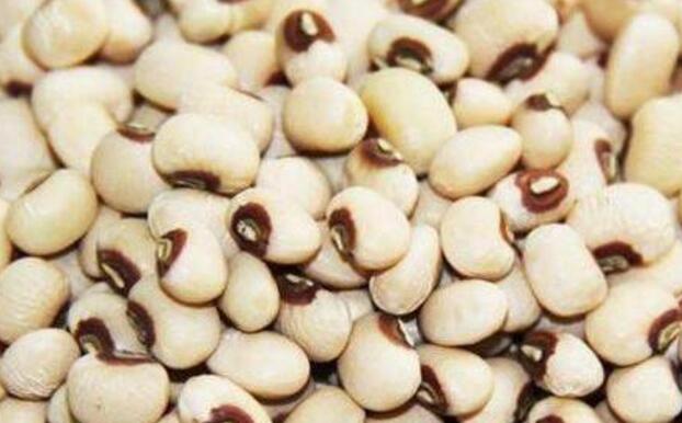 眉豆产地在哪，种植时间和方法有哪些