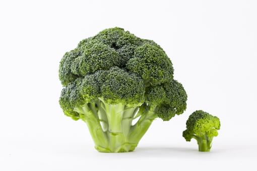 西兰花种植方法有哪些，怎么采收？