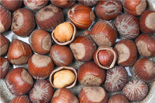 榛子树有哪些种植方法