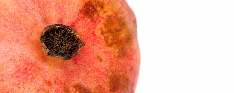 石榴皮煮水要几分钟,有哪些功效?