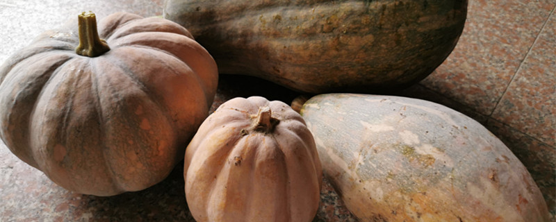 南瓜有哪些营养成分,含糖量高吗?