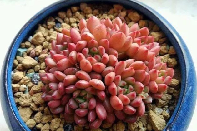 美化家居环境的bet365365体育
变色方法有哪些？