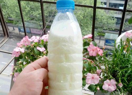快过期的牛奶怎么循环利用,能给花浇水吗?