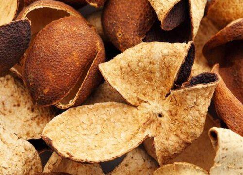 如何从桔子皮的外观上判断其是否适用于制作陈皮?