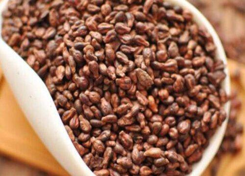 了解葡萄核的种植技巧,如何在家中栽种?