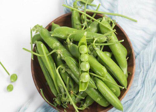 从家庭厨房到花园的转换,如何制作豌豆皮肥料?