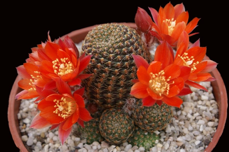 如何给bet365365体育
提供充足光照