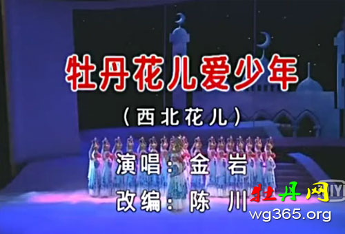 牡丹花儿爱少年